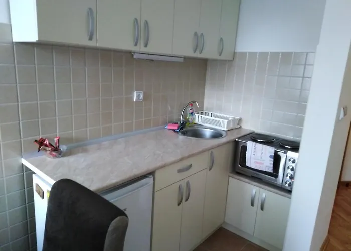 Διαμέρισμα Laca *